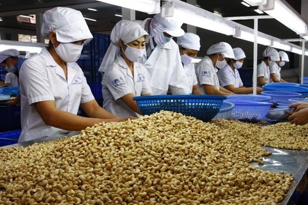 The cashew market is favorable, but the risk of loss must be avoided