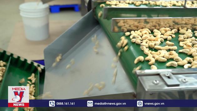 The cashew industry strives to earn 3.8 billion USD in exports